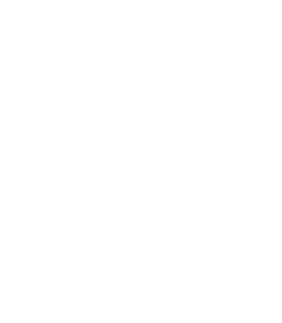 White geometric outline of a 20-sided die (icosahedron) on a light gray background, representing the precision and reliability valued by Resolute Technology LLC.